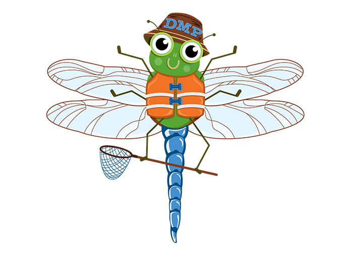 Drawing of a dragonfly wearing a hat, PFD, and holding a net for collecting larvae.