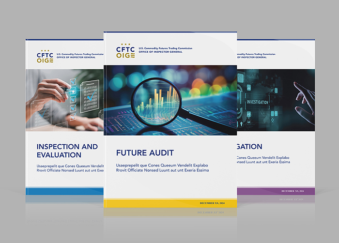 Series of report covers with similar layouts and style devices to differentiate the types of reports.