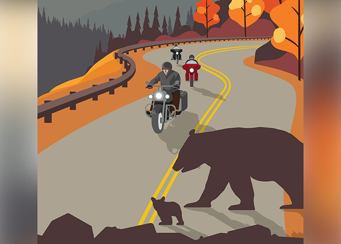 Pull-up banners with an illustration of people riding motorcycles on a mountain road with wildlife entering the parkway.
